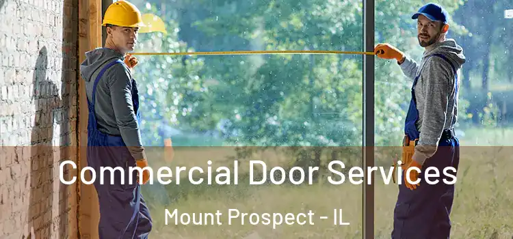 Commercial Door Services Mount Prospect - IL