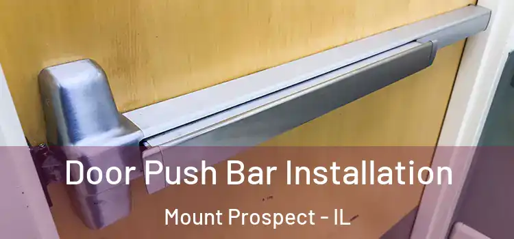  Door Push Bar Installation Mount Prospect - IL