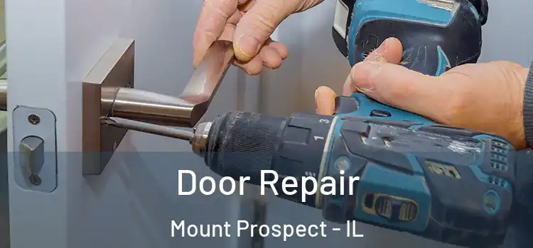 Door Repair Mount Prospect - IL