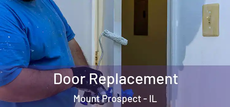 Door Replacement Mount Prospect - IL