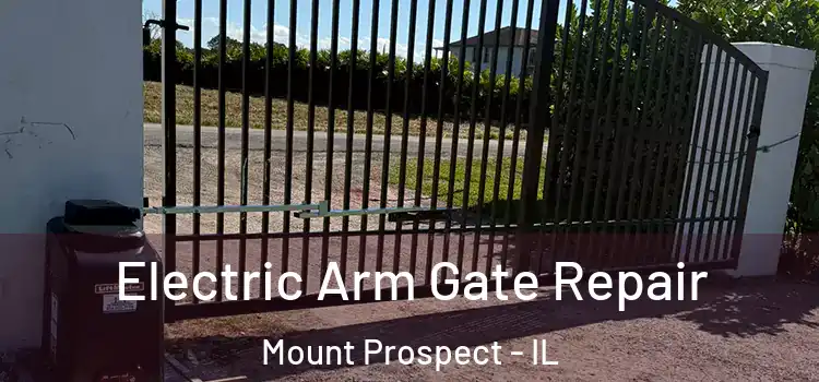 Electric Arm Gate Repair Mount Prospect - IL