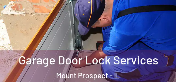 Garage Door Lock Services Mount Prospect - IL