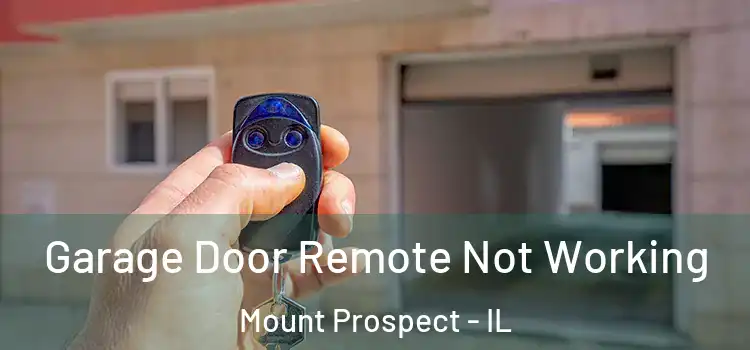  Garage Door Remote Not Working Mount Prospect - IL