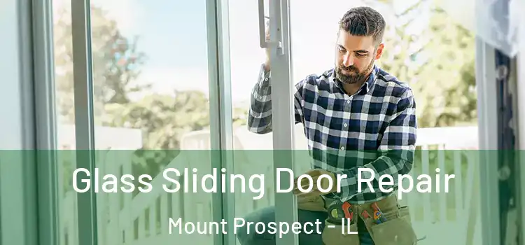 Glass Sliding Door Repair Mount Prospect - IL