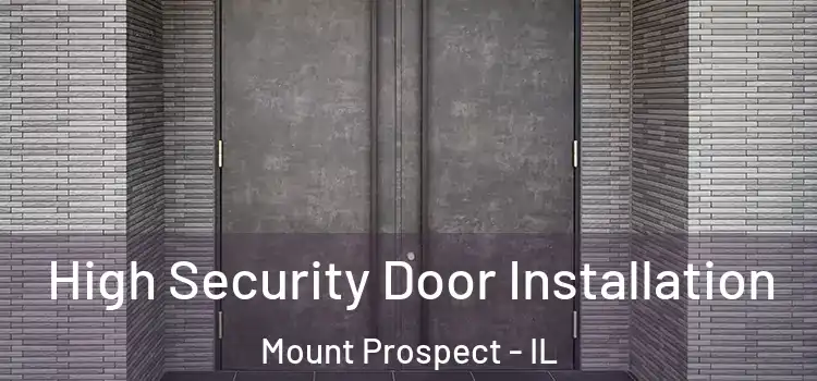 High Security Door Installation Mount Prospect - IL