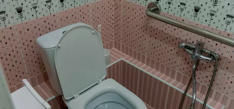 Meeting Diverse Needs With Accessible Restroom Solutions in Mount Prospect, IL