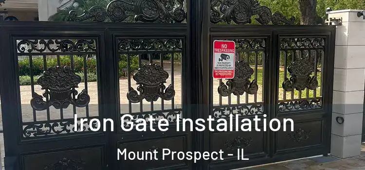  Iron Gate Installation Mount Prospect - IL