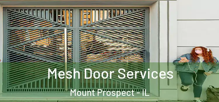 Mesh Door Services Mount Prospect - IL