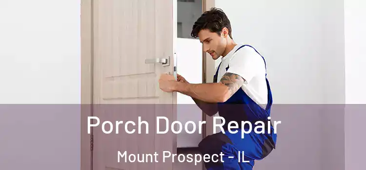  Porch Door Repair Mount Prospect - IL