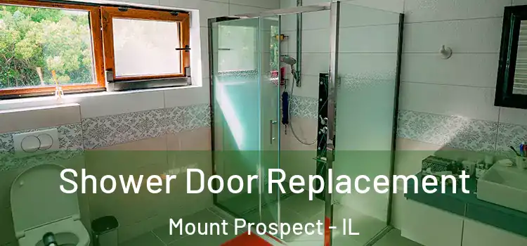 Shower Door Replacement Mount Prospect - IL