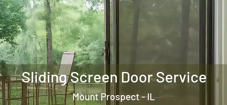 Sliding Screen Door Service Mount Prospect - IL
