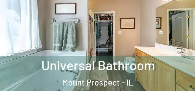  Universal Bathroom Mount Prospect - IL