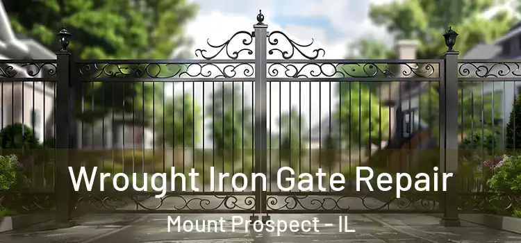 Wrought Iron Gate Repair Mount Prospect - IL